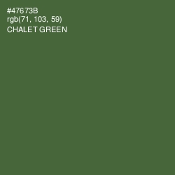 #47673B - Chalet Green Color Image