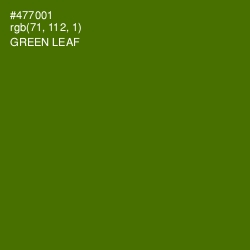 #477001 - Green Leaf Color Image