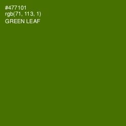 #477101 - Green Leaf Color Image