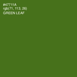 #47711A - Green Leaf Color Image