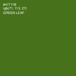 #47711B - Green Leaf Color Image