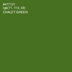 #477121 - Chalet Green Color Image