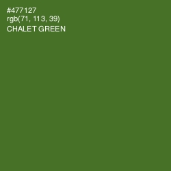 #477127 - Chalet Green Color Image