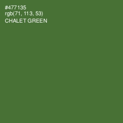 #477135 - Chalet Green Color Image