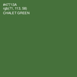 #47713A - Chalet Green Color Image