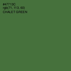 #47713C - Chalet Green Color Image