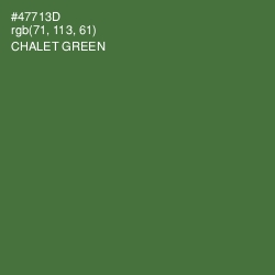 #47713D - Chalet Green Color Image