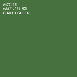 #47713E - Chalet Green Color Image