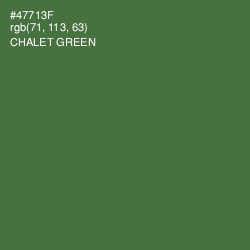 #47713F - Chalet Green Color Image