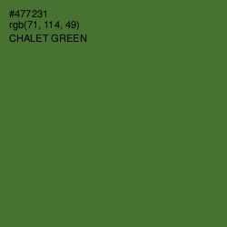 #477231 - Chalet Green Color Image