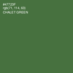 #47723F - Chalet Green Color Image