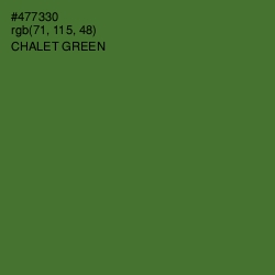 #477330 - Chalet Green Color Image