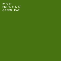 #477411 - Green Leaf Color Image