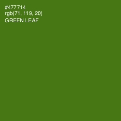 #477714 - Green Leaf Color Image