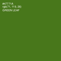 #47771A - Green Leaf Color Image