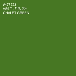 #477723 - Chalet Green Color Image