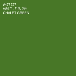 #477727 - Chalet Green Color Image
