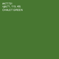 #477731 - Chalet Green Color Image