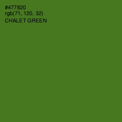 #477820 - Chalet Green Color Image