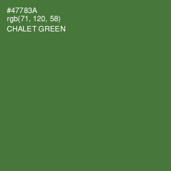 #47783A - Chalet Green Color Image