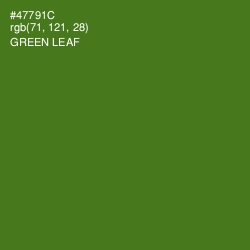 #47791C - Green Leaf Color Image