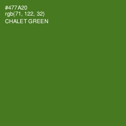 #477A20 - Chalet Green Color Image