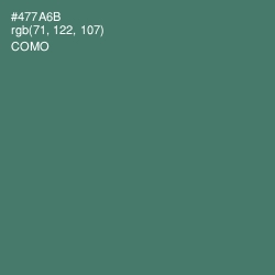 #477A6B - Como Color Image