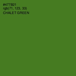 #477B21 - Chalet Green Color Image