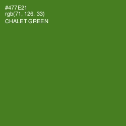 #477E21 - Chalet Green Color Image