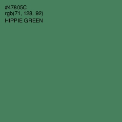 #47805C - Hippie Green Color Image