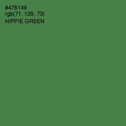 #478149 - Hippie Green Color Image