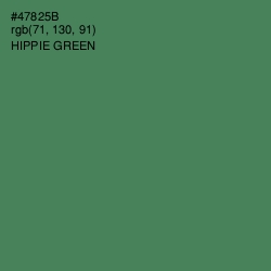 #47825B - Hippie Green Color Image