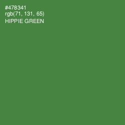 #478341 - Hippie Green Color Image