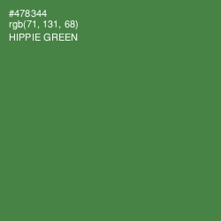 #478344 - Hippie Green Color Image