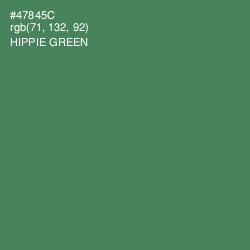 #47845C - Hippie Green Color Image