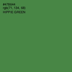 #478644 - Hippie Green Color Image