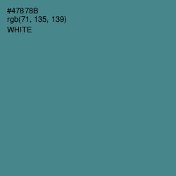 #47878B - Smalt Blue Color Image