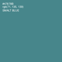 #47878B - Smalt Blue Color Image