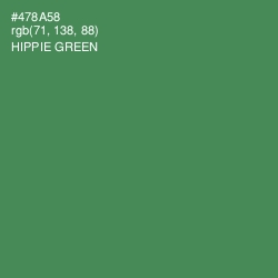 #478A58 - Hippie Green Color Image