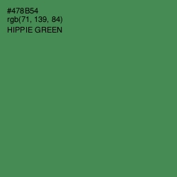 #478B54 - Hippie Green Color Image