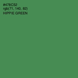 #478C52 - Hippie Green Color Image