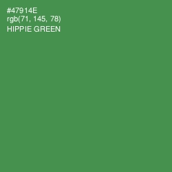 #47914E - Hippie Green Color Image