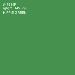 #47914F - Hippie Green Color Image