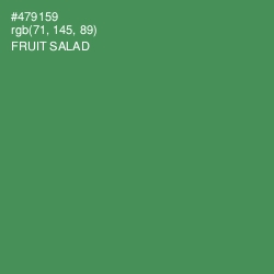 #479159 - Fruit Salad Color Image