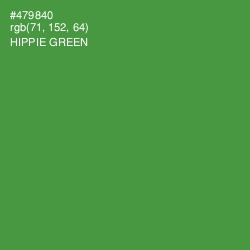 #479840 - Hippie Green Color Image