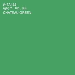 #47A162 - Chateau Green Color Image