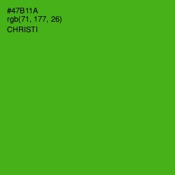 #47B11A - Christi Color Image