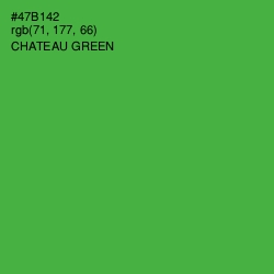 #47B142 - Chateau Green Color Image