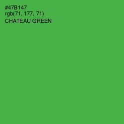 #47B147 - Chateau Green Color Image