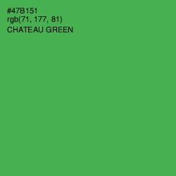 #47B151 - Chateau Green Color Image